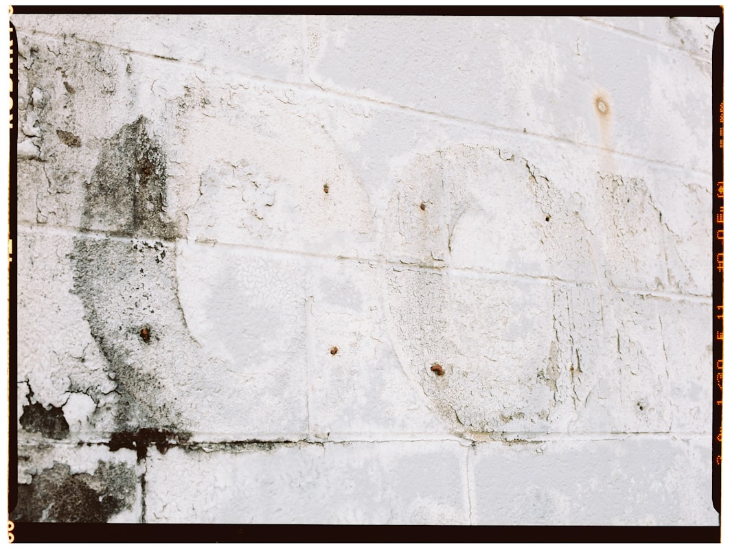 Water Extraction service in Denton, TX