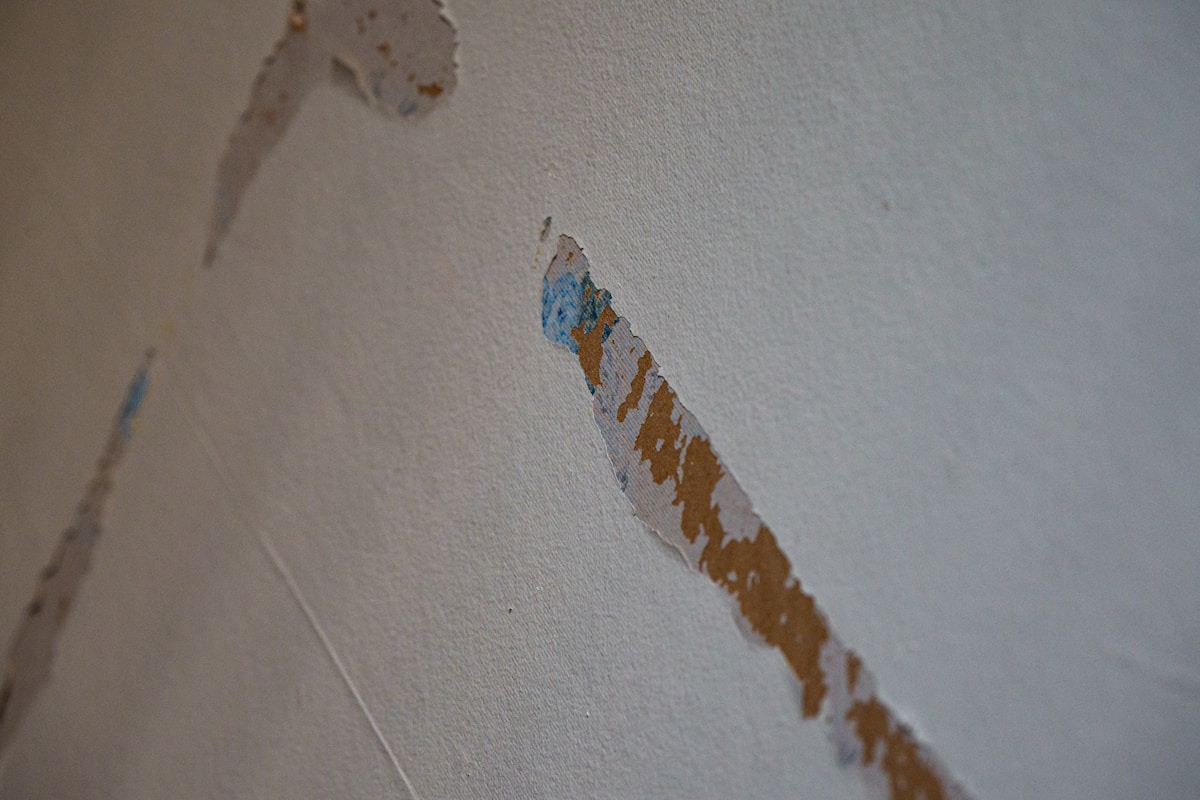 Mold Remediation service in Denton, TX